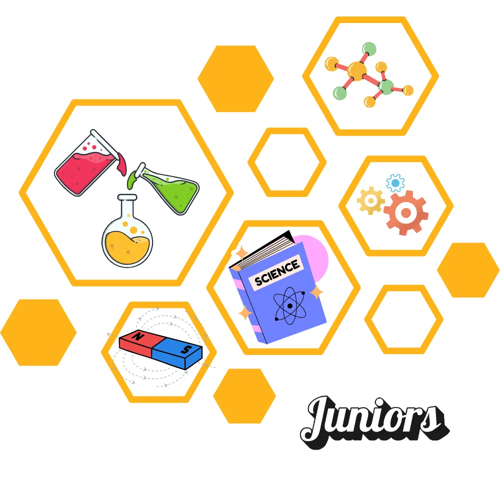 Science Hive Jr.